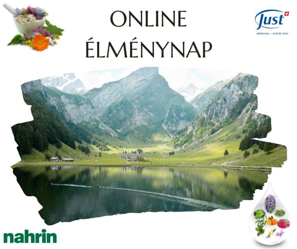 ÉLMÉNYNAP – Online formában 
